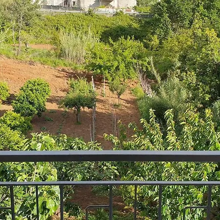Carla's House - Relax A Tra Mare E Monti Scalea